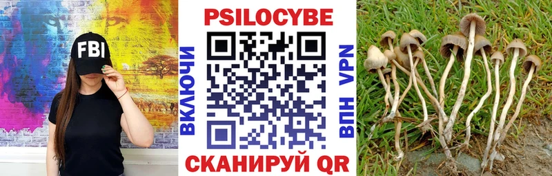 Псилоцибиновые грибы мухоморы  Обь 
